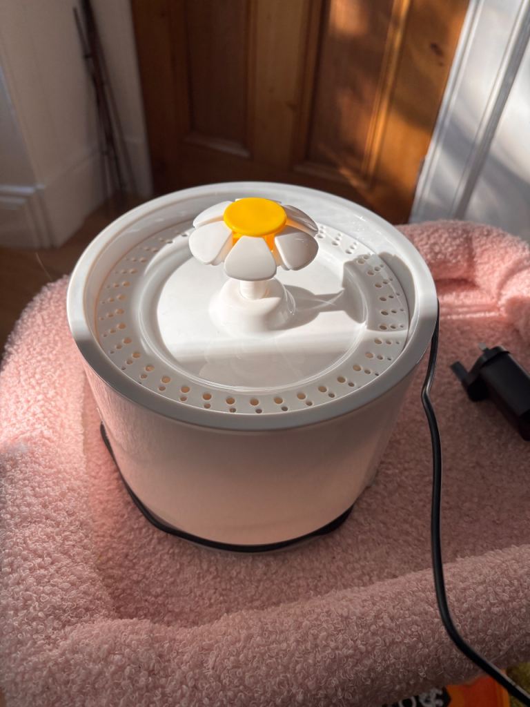 Cat water  fountain ⛲️ 