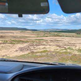 Grazing pasture to rent 166 acres