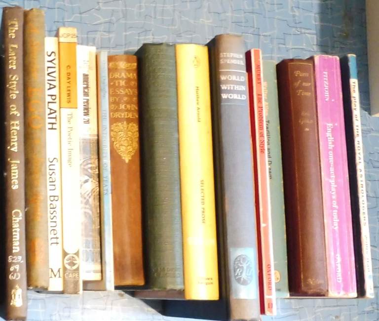 16 ENGLISH LITERATURE BOOKS MIX