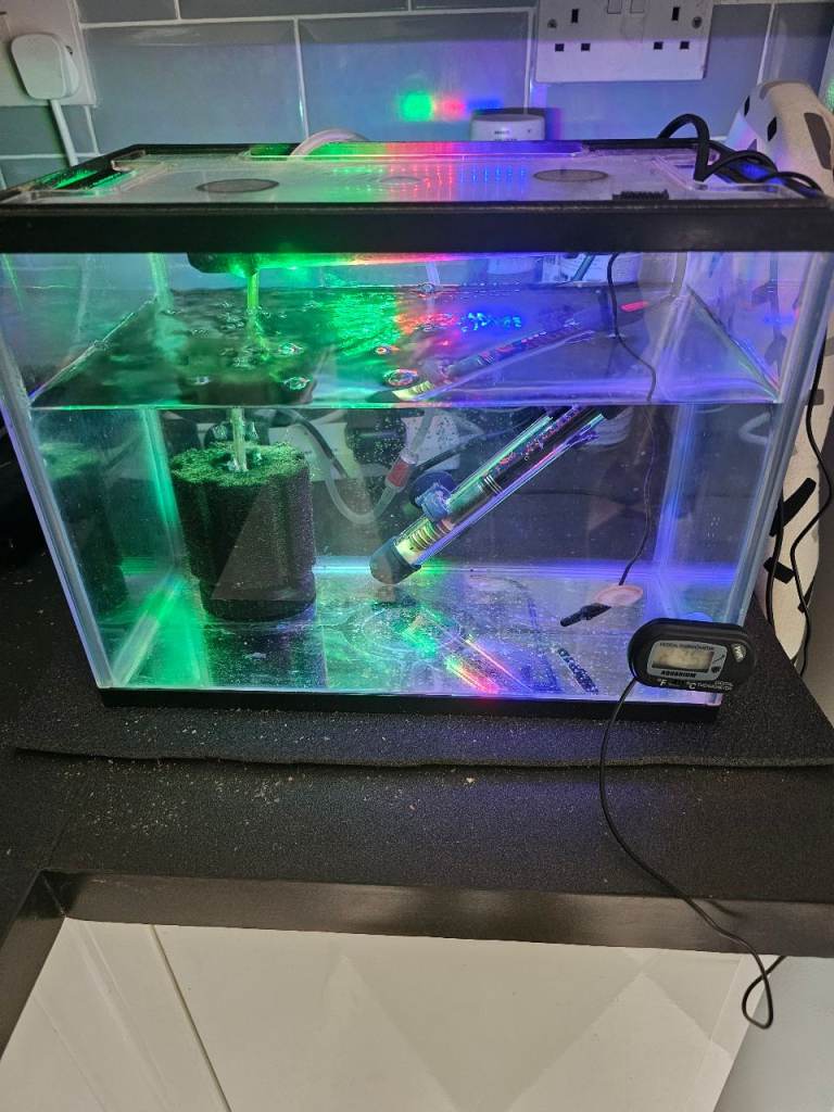 Small aquarium with accessories