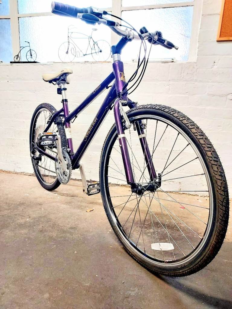 Pendleton Brooke Girls Small Ladies Hybrid Bike (Immaculate and Serviced)
