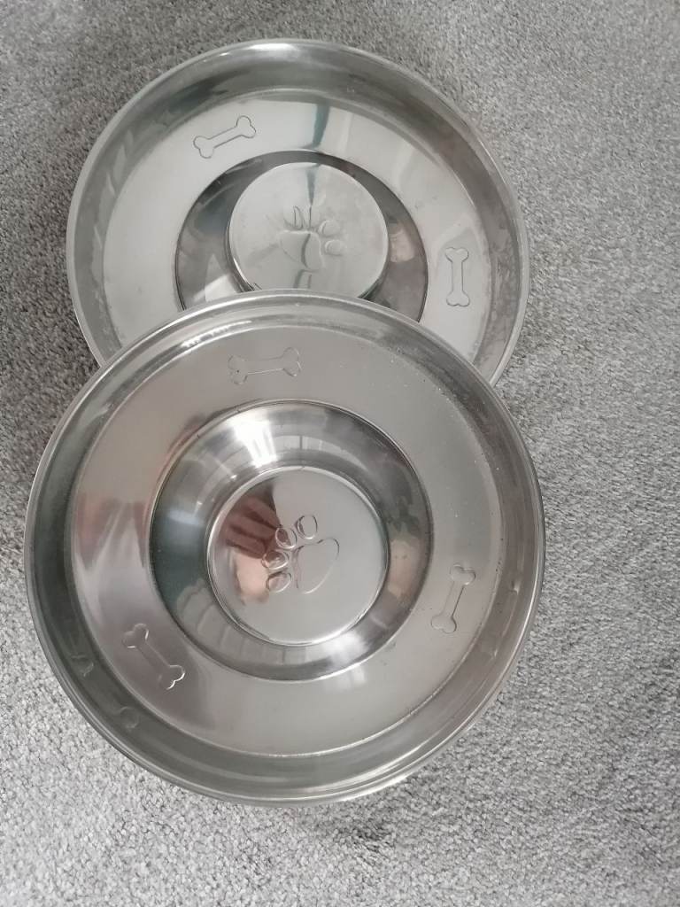 Stainless steel Bowls / puppy bowl