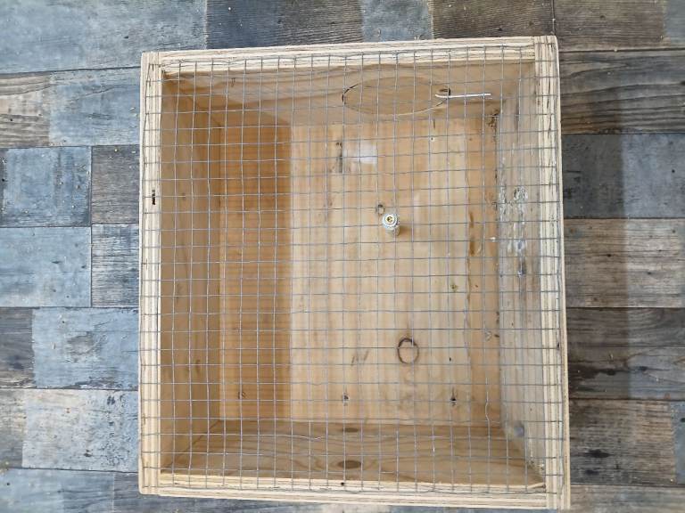 Bird carry boxes 2 available 