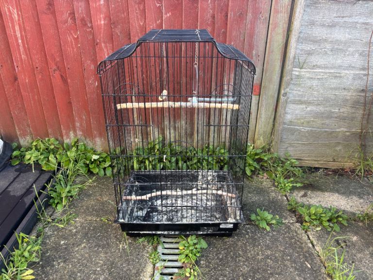 Large bird cage