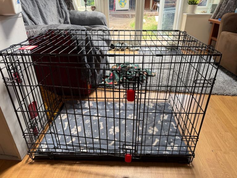 Kong Foldable Dog Crate 