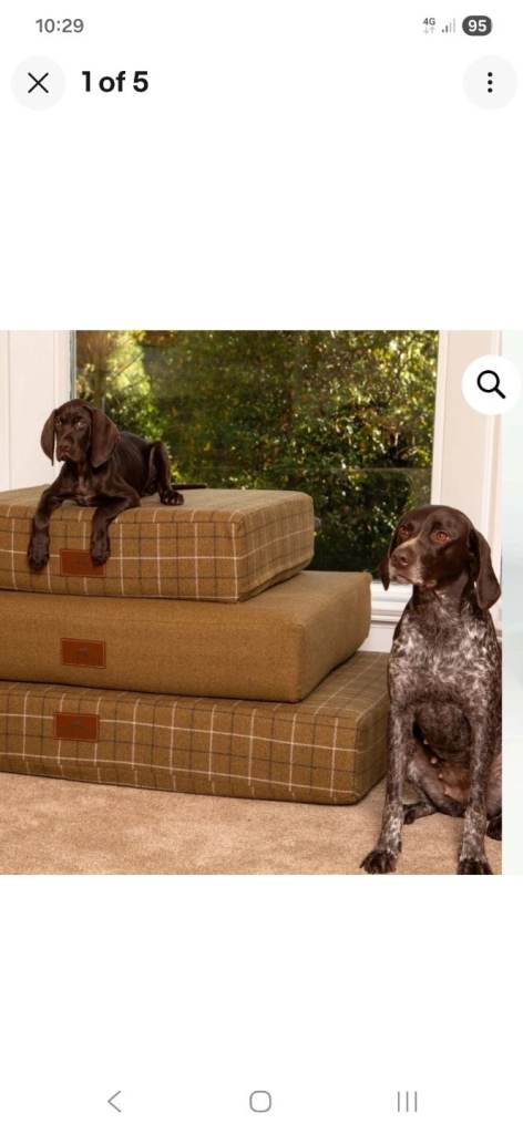 Ivy & Duke The Muttress dog bed