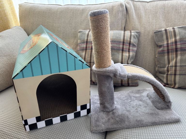 Cat accessories 