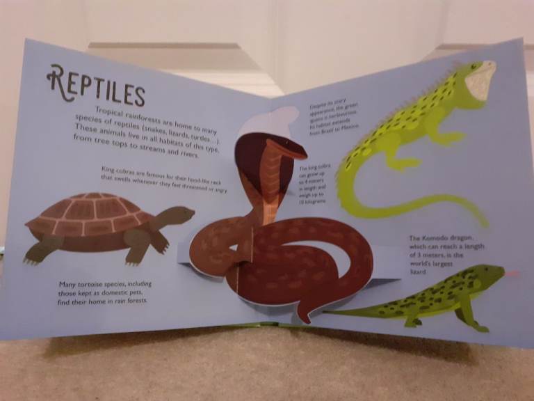 Jungle 10 Pop Ups Book Brand New