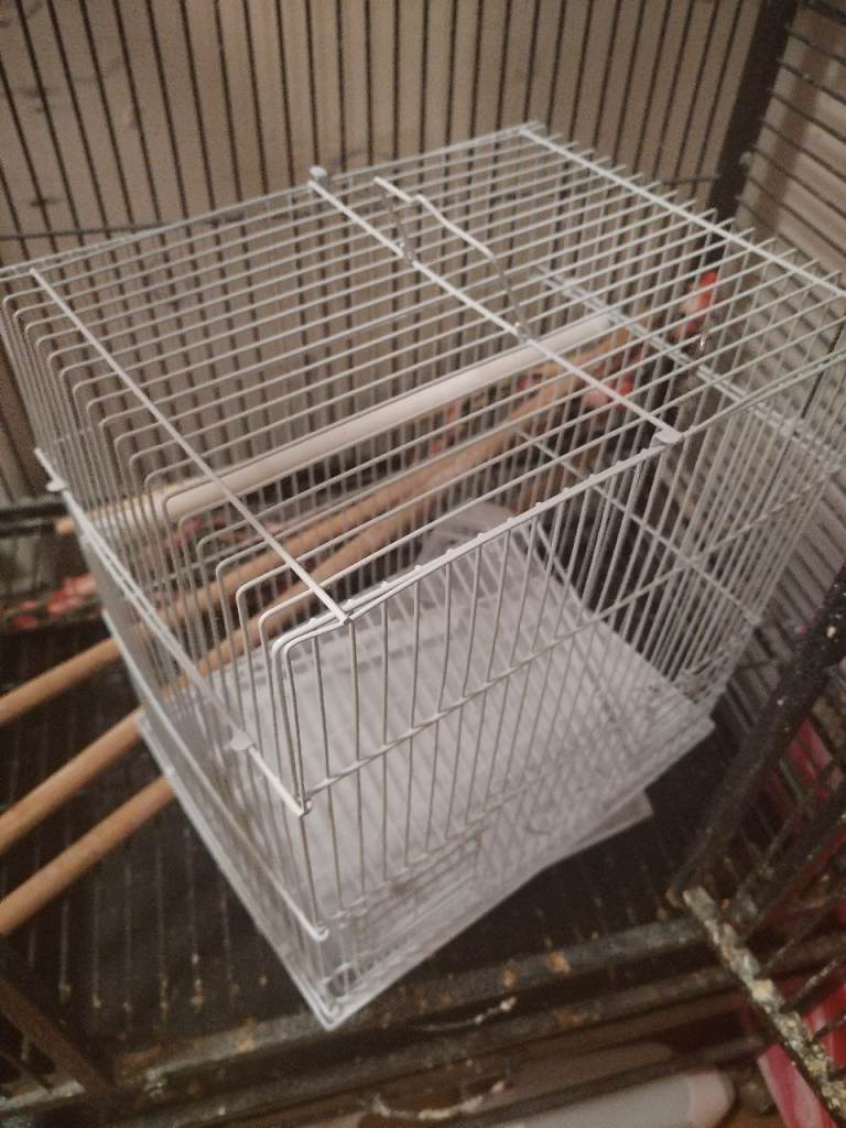 Bird cage x2