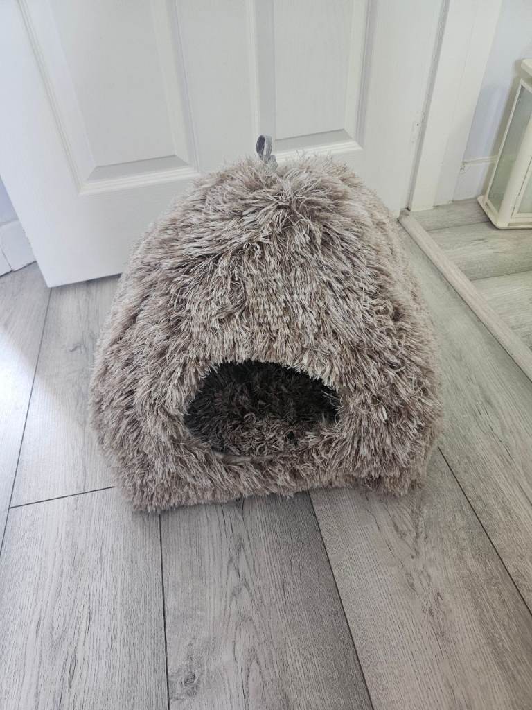 Cat House