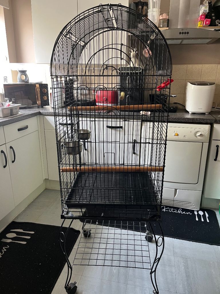 Large bird cage
