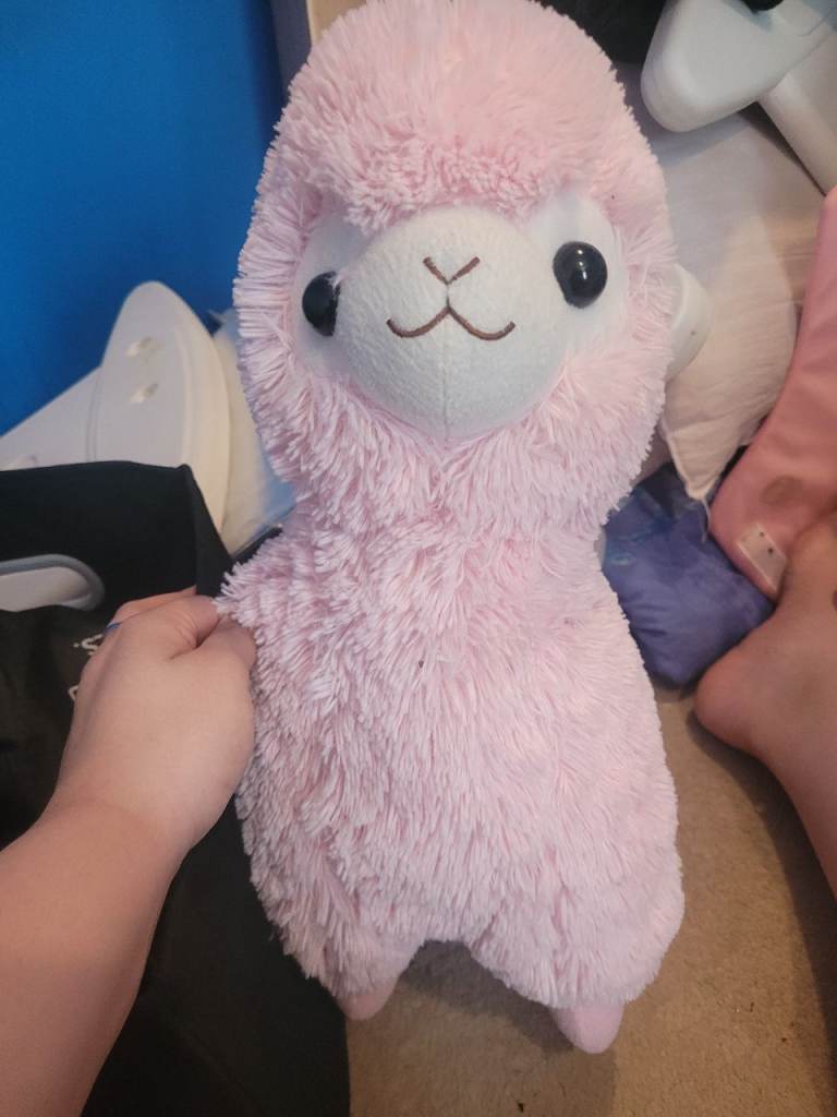 Cute Pink Alpaca Stuffed Animal – Good Condition