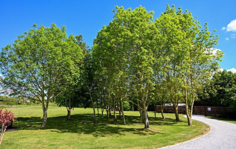 Willerby Boston Lodge in North Yorkshire  - Lodge / Caravan 