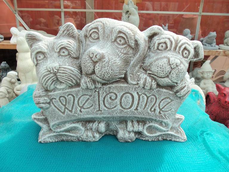 Welcome dogs