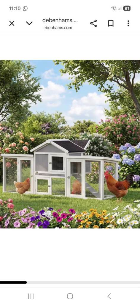 Coop/rabbit hut 