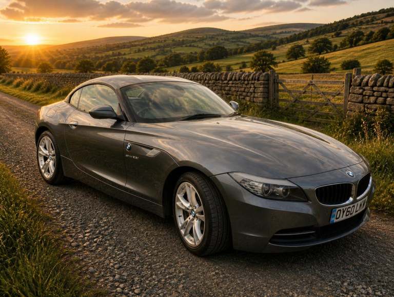 BMW Z4 2.5 Z4 sDrive23i Roadster 2010