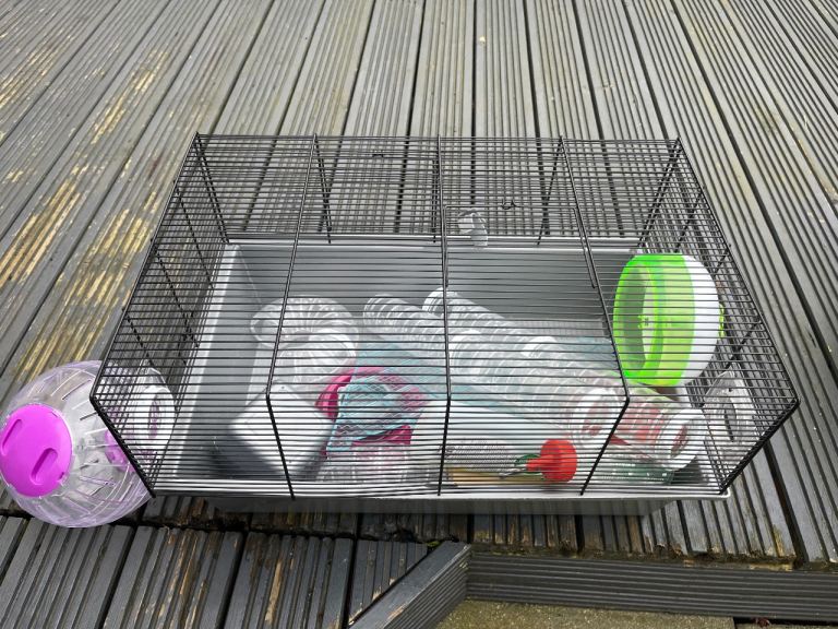 Hamster cage and accessories 