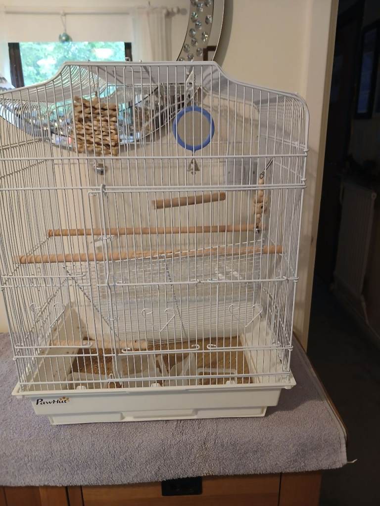 Bird Cage