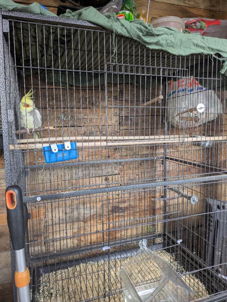 Bird parrot cage 