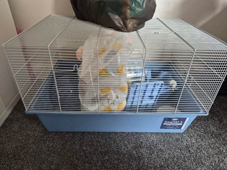 Free hamster cage