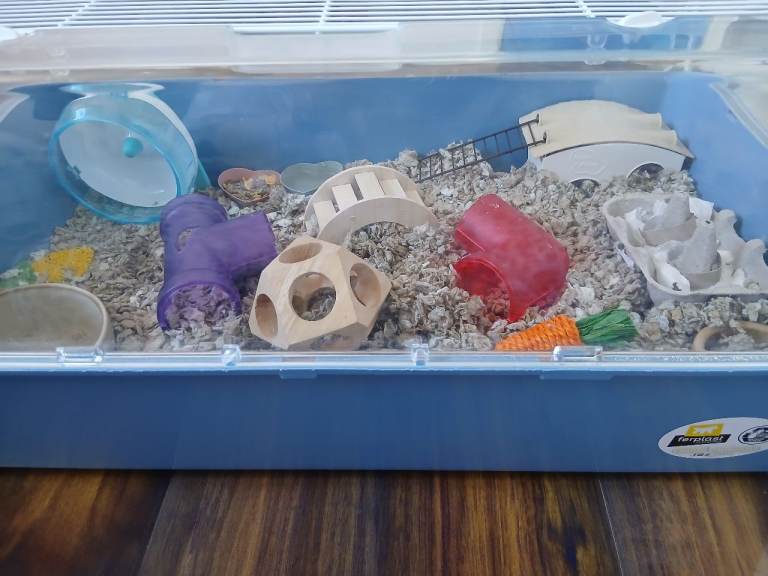Hamster and full cage setup+ toys and food