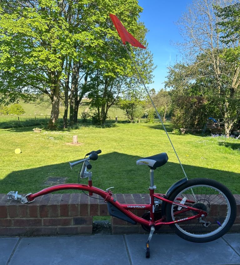 Wee Ride Co Pilot Tag Along kids bike 