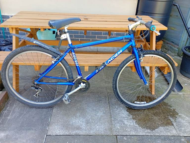 Saracen Mountain Bike 