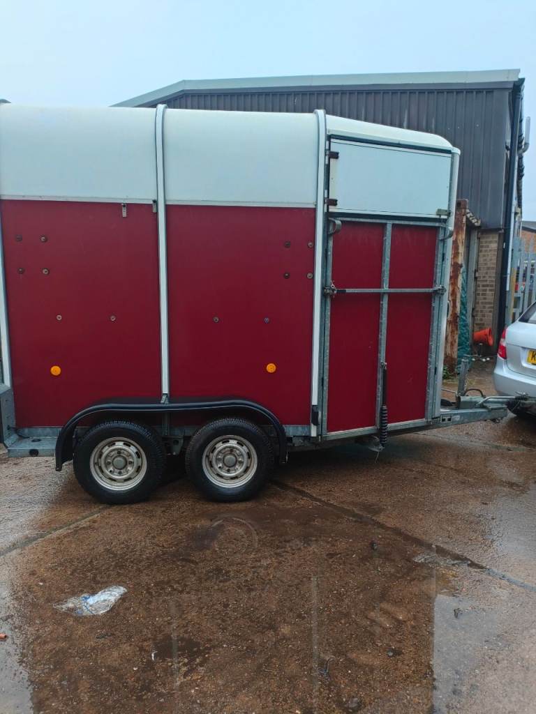Ifor Williams trailer horse trailer 