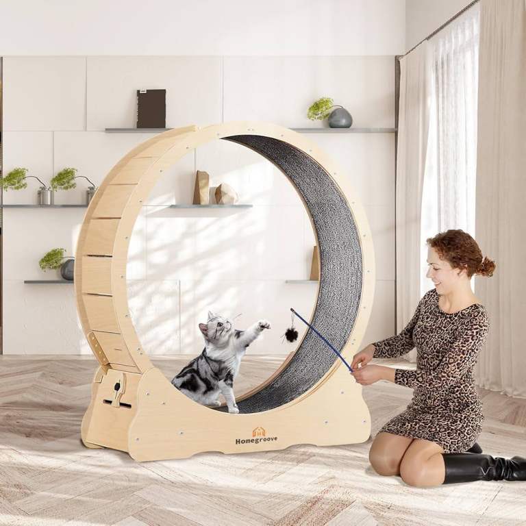 Home Groove 35.4 inch Cat Wheel - new in box