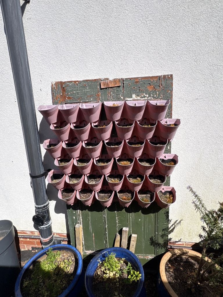 Vertical Wall Planter / Living Wall Garden – Multi Pocket