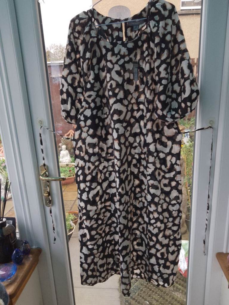 Brand new ladies dress 