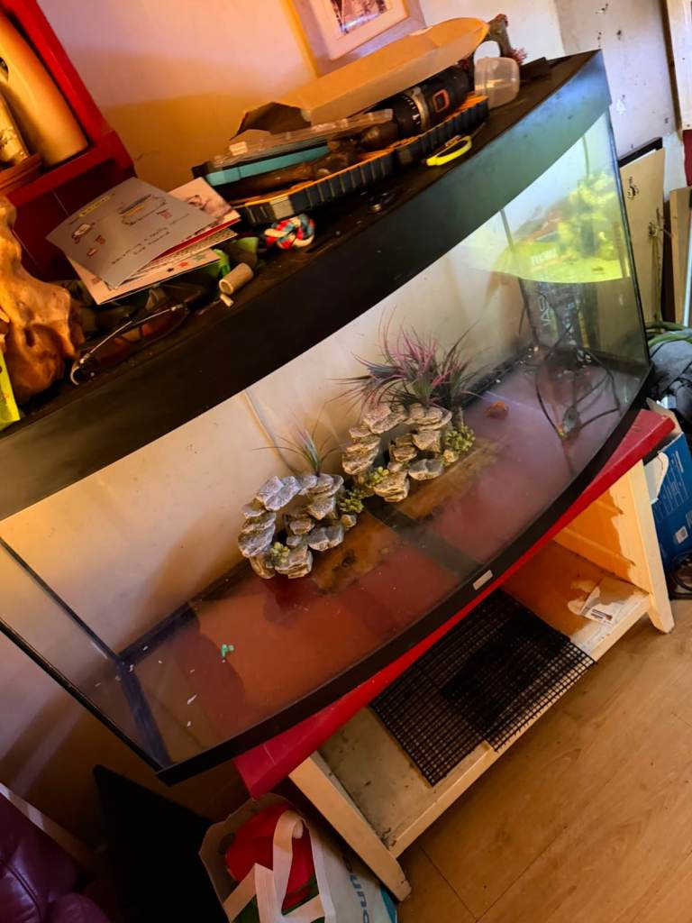 Awaiting collection Free Large Curved Fish Tank Aquarium with Stand