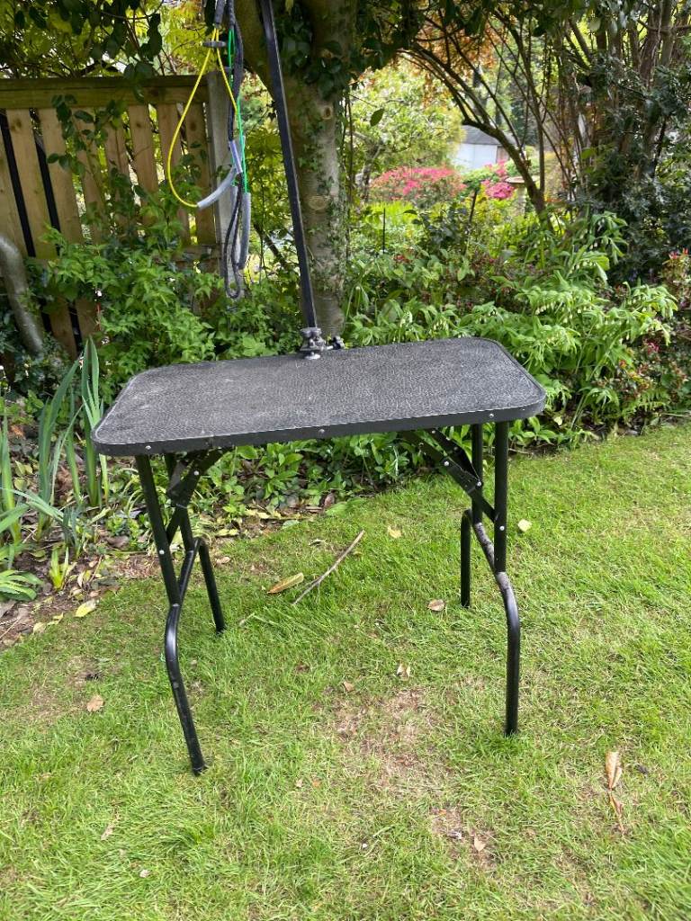 dog or cat grooming table