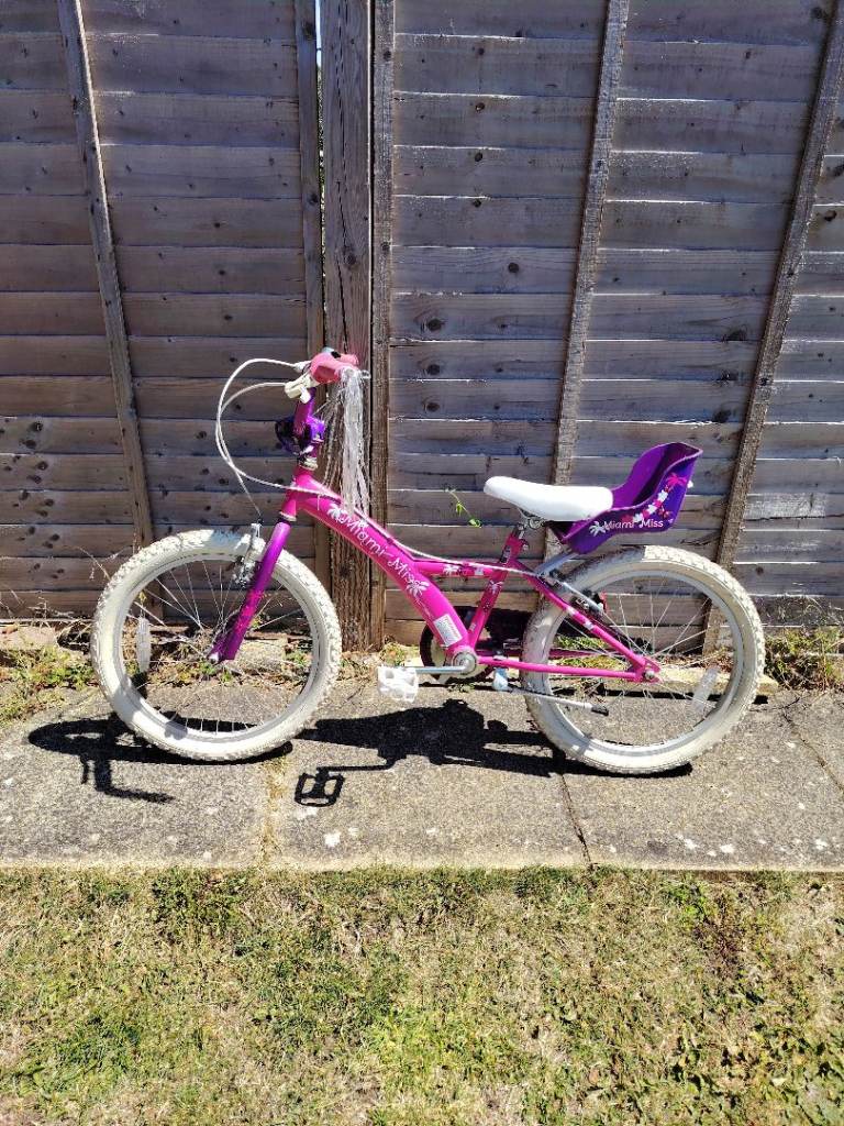 Kids Pink & Purple Bike with Doll Carrier