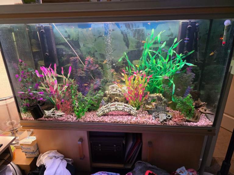 Rena Fish Tank and Stand,Complete set up(355 litre)