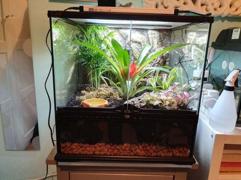 Exo Terra Pro Terrarium 45 x 45 x 45cm