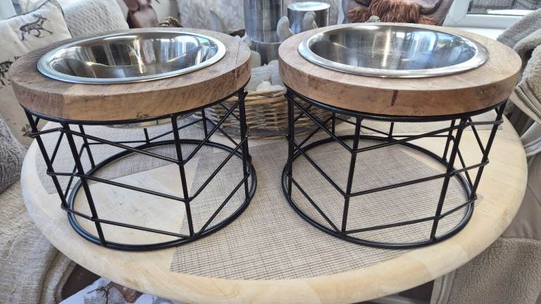 Dog Bowls