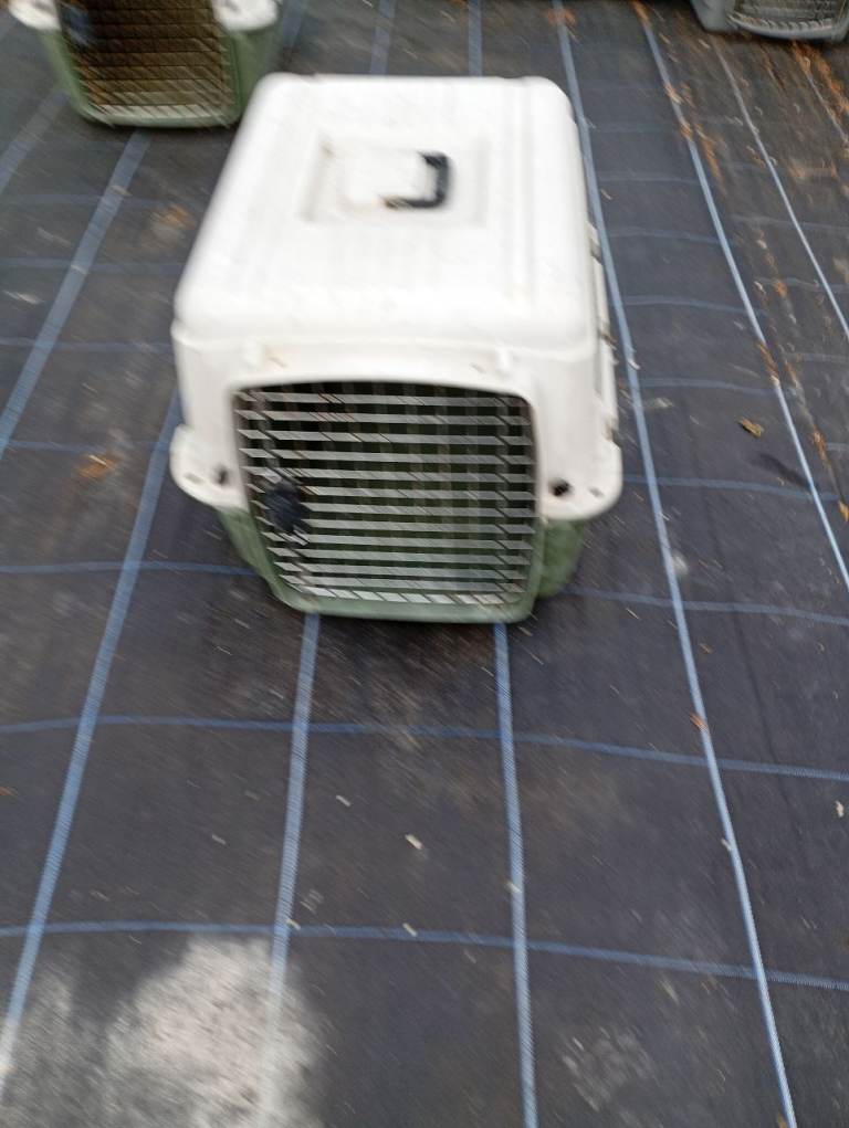 Large pet carriers