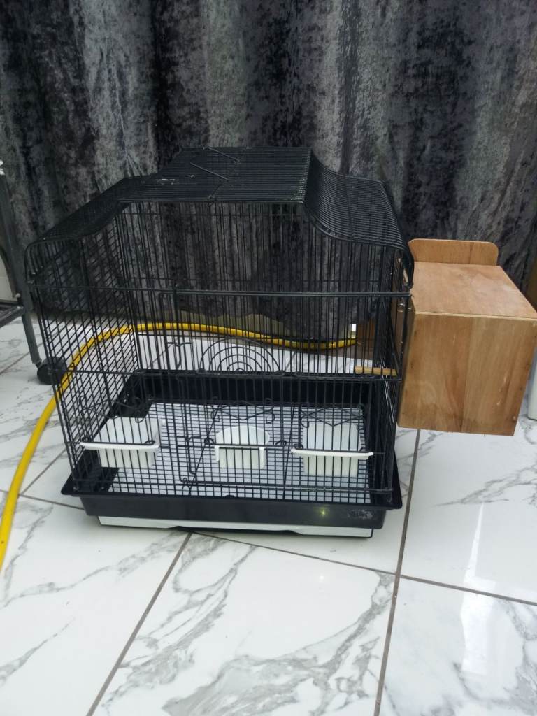 Black bird cage with wooden nesting box