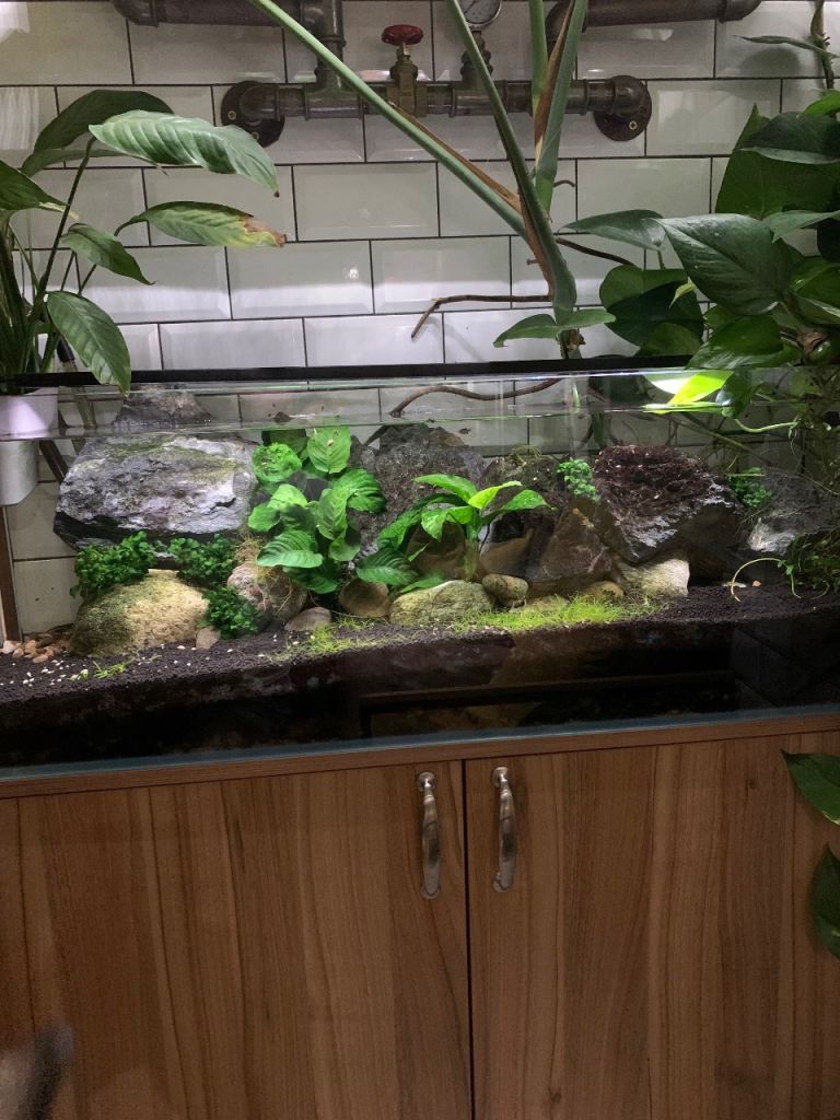 Four foot fish tank