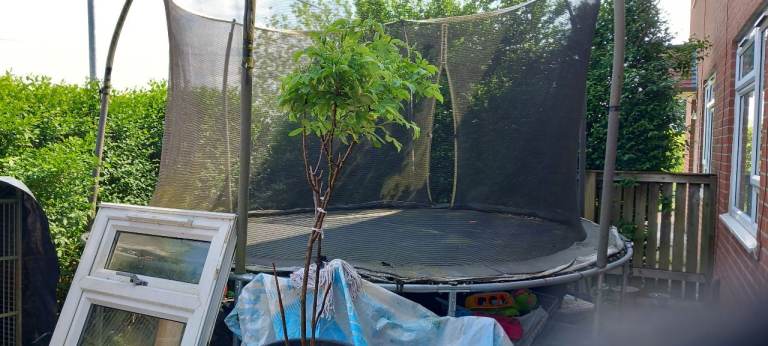 Trampoline for sale