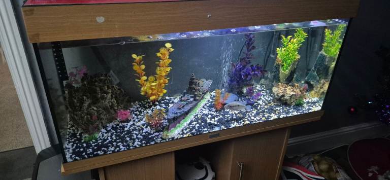 3ft juwel tank