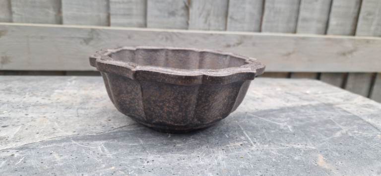 Shohin size lotus style bonsai tree pot
