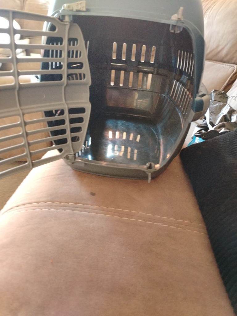 Plastic pet carrier 