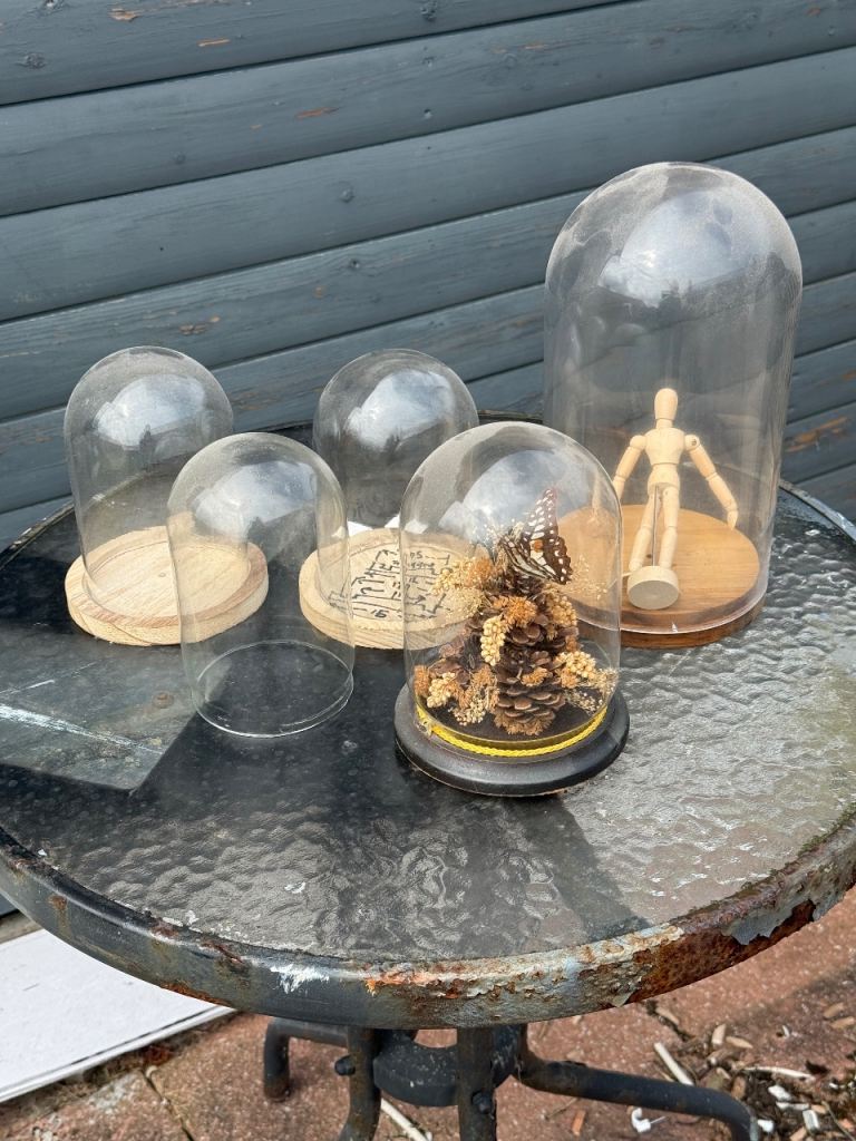 Set of Glass Display Domes / Cloches with Wooden Bases