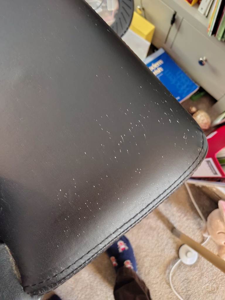 Black Leather Sofa