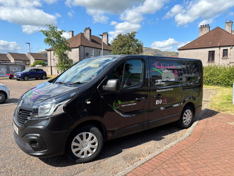 Renault, TRAFIC, Panel Van, 2018, Manual, 1598 (cc)