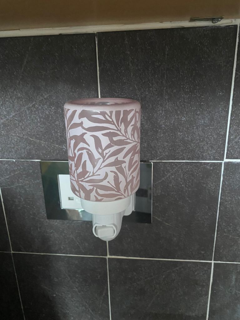 Scentsy plug in warmer