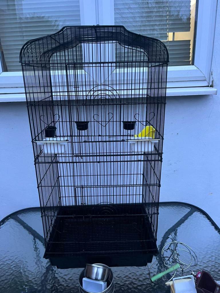 Bird cage 