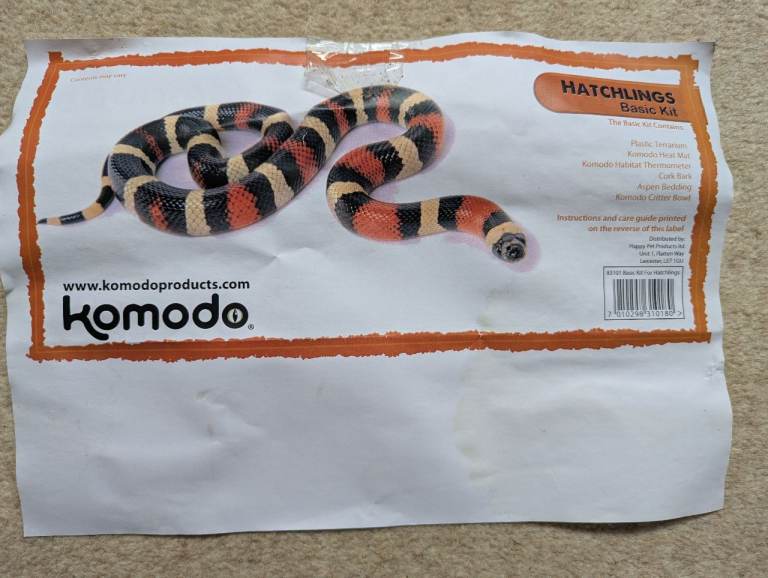 Komodo Hatchlings - Basic kit (brand new)